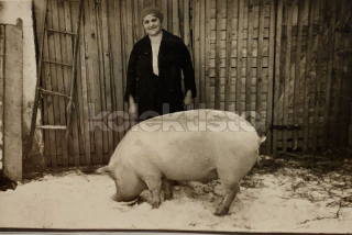 400 Kč GEN Pohlednice ZEMĚDĚLSTVÍ, GEN139172