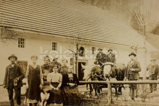 400 Kč GEN Pohlednice ZEMĚDĚLSTVÍ, GEN139179
