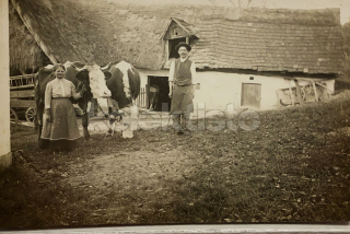 400 Kč GEN Pohlednice ZEMĚDĚLSTVÍ, GEN139180