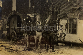 550 Kč GEN Pohlednice ZEMĚDĚLSTVÍ, GEN139189