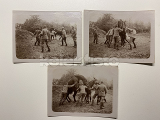 600 Kč GEN Foto ZEMĚDĚLSTVÍ, GEN139200