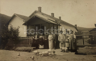 800 Kč GEN Pohlednice ZEMĚDĚLSTVÍ, GEN139204