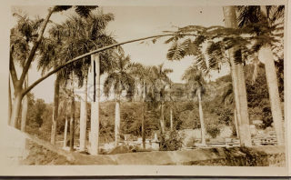 800 Kč GEN Pohlednice ŽIDOVSKÉ foto, GEN139260