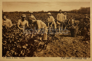800 Kč GEN Pohlednice ŽIDOVSKÉ foto, GEN139262