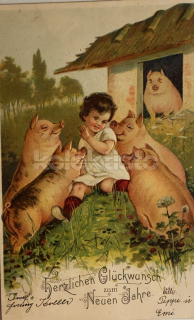 550 Kč GEN Pohlednice PRASÁTKA, GEN140267