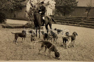 200 Kč GEN Pohlednice JEZDECTVÍ, GEN141186