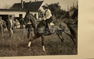 300 Kč GEN Pohlednice JEZDECTVÍ, GEN141195