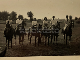 300 Kč GEN Pohlednice JEZDECTVÍ, GEN141197