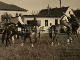 300 Kč GEN Pohlednice JEZDECTVÍ, GEN141198