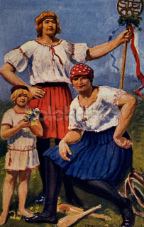 250 Kč GEN Pohlednice SOKOL, GEN141421