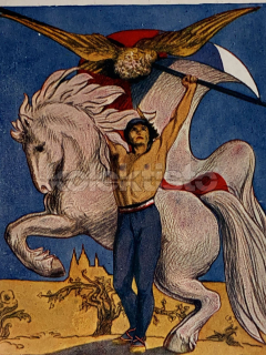 300 Kč GEN Pohlednice SOKOL, GEN141456