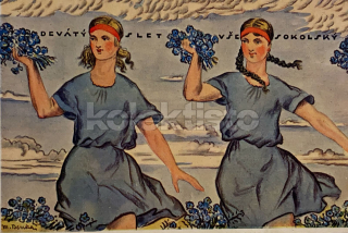 300 Kč GEN Pohlednice SOKOL, GEN141476