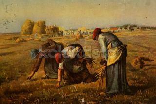 80 Kč GEN Pohlednice UMĚNÍ STENGEL, GEN141916