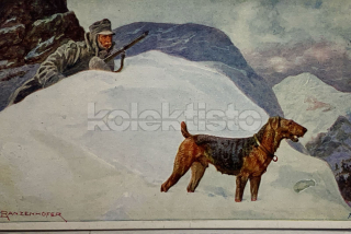 300 Kč GEN Pohlednice 1.VÁLKA MALOVANÉ, GEN141976