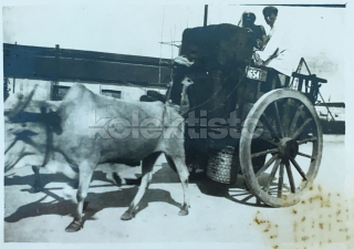 100 Kč GEN Foto LEGIE, GEN142264