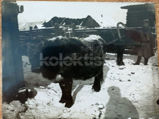 250 Kč GEN Foto LEGIE, GEN142347