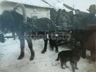 250 Kč GEN Foto LEGIE, GEN142348