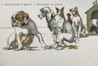 650 Kč GEN Pohlednice PROPAGANDA WW1, GEN143874
