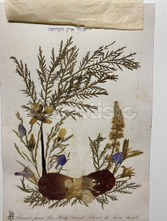 250 Kč GEN Pohlednice KOLÁŽE KVĚTINY, GEN144340