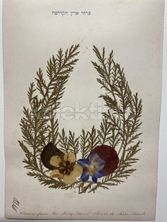 300 Kč GEN Pohlednice KOLÁŽE KVĚTINY, GEN144345