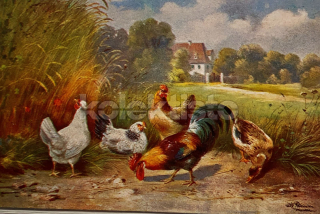 100 Kč GEN Pohlednice DRŮBEŽ, GEN145100
