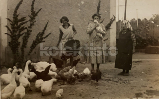 300 Kč GEN Pohlednice DRŮBEŽ, GEN145123