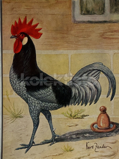 300 Kč GEN Pohlednice DRŮBEŽ, GEN145140