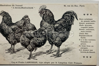 400 Kč GEN Pohlednice DRŮBEŽ, GEN145165