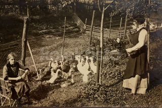 400 Kč GEN Pohlednice DRŮBEŽ, GEN145171