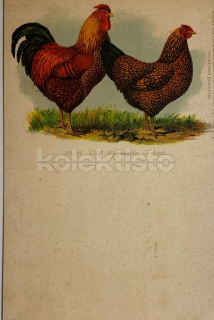 400 Kč GEN Pohlednice DRŮBEŽ, GEN145173