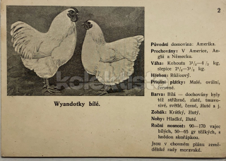 400 Kč GEN Pohlednice DRŮBEŽ, GEN145174