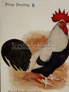 400 Kč GEN Pohlednice DRŮBEŽ, GEN145181