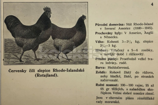 400 Kč GEN Pohlednice DRŮBEŽ, GEN145182
