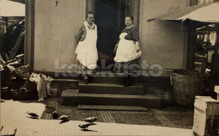 150 Kč GEN Pohlednice HOLUBI, GEN145185