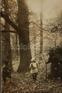 200 Kč GEN Pohlednice HOLUBI, GEN145191