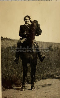 100 Kč GEN Pohlednice KONĚ FOTO, GEN145215