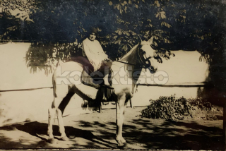 100 Kč GEN Pohlednice KONĚ FOTO, GEN145216
