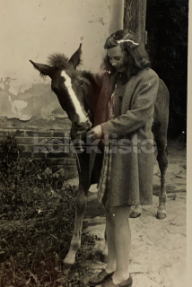 100 Kč GEN Pohlednice KONĚ FOTO, GEN145217