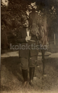 100 Kč GEN Pohlednice KONĚ FOTO, GEN145219