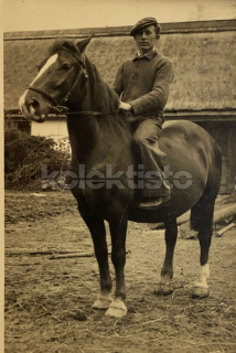100 Kč GEN Pohlednice KONĚ FOTO, GEN145220