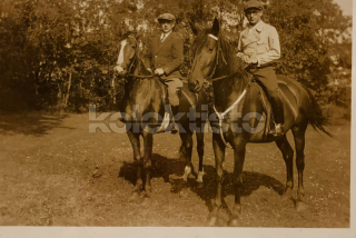 100 Kč GEN Pohlednice KONĚ FOTO, GEN145221