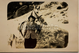 100 Kč GEN Pohlednice KONĚ FOTO, GEN145229