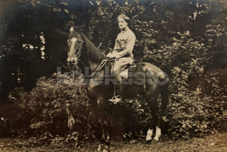 100 Kč GEN Pohlednice KONĚ FOTO, GEN145234