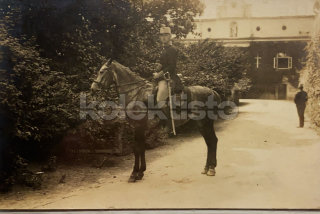 100 Kč GEN Pohlednice KONĚ FOTO, GEN145238