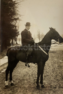 100 Kč GEN Pohlednice KONĚ FOTO, GEN145239