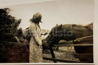 150 Kč GEN Pohlednice KONĚ FOTO, GEN145243
