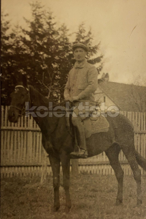 200 Kč GEN Pohlednice KONĚ FOTO, GEN145246