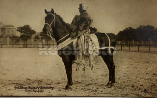 200 Kč GEN Pohlednice KONĚ FOTO, GEN145247