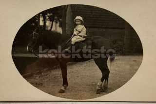 200 Kč GEN Pohlednice KONĚ FOTO, GEN145249