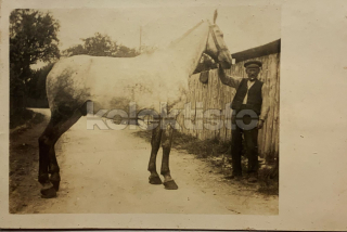200 Kč GEN Pohlednice KONĚ FOTO, GEN145251